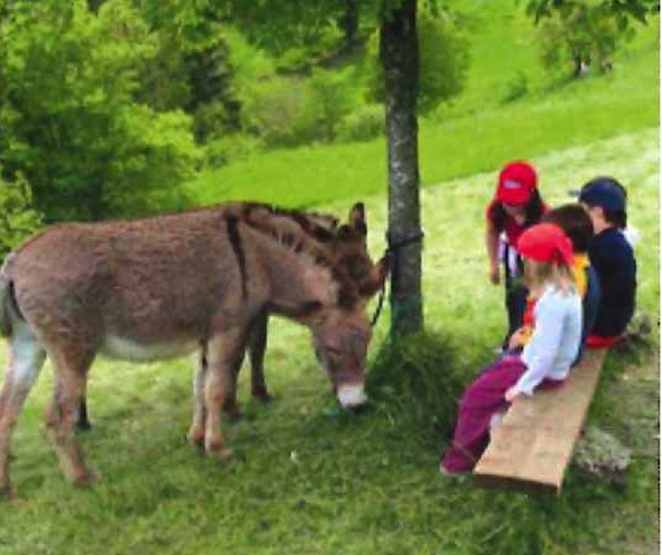 Per Vacanze di Pasqua 2018 Faccio un salto nel verde per i bambini e ragazzi da 6 a 11 anni.