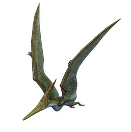 Pterosauro dal sito dinosauri.eu