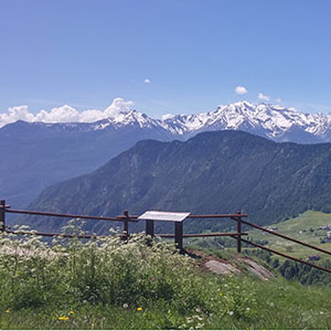 banbini montagna passeggino