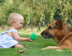 rispetto tra bambini e cani