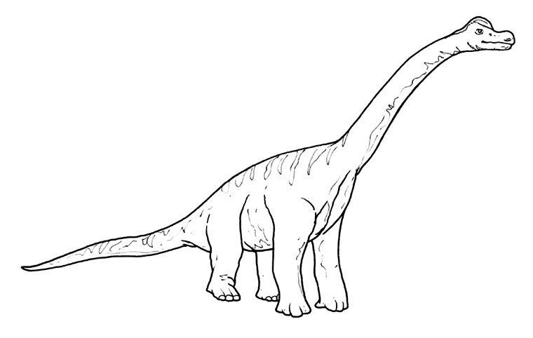 Dinosauri Brachiosauro Torinobimbi