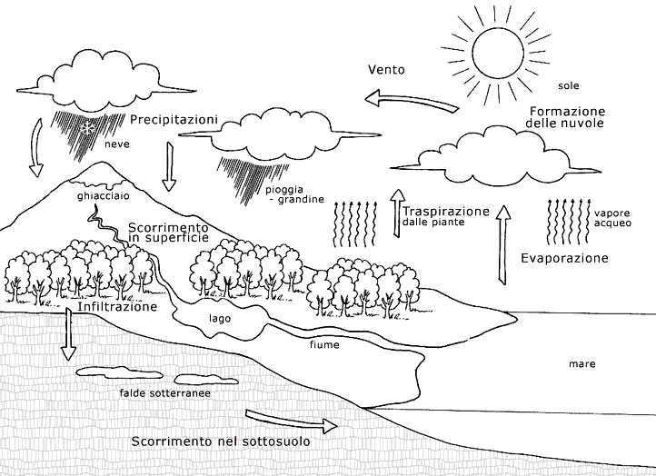 Disegni Da Colorare Pagina 5 Di 9 Torinobimbi