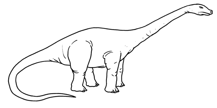 Dinosauri Diplodoco Torinobimbi