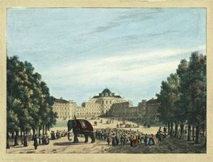 Elefante al castello reale di Stupinigi