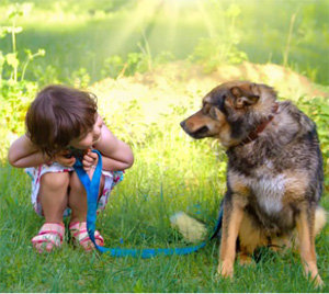 educazione del bambino e il cane