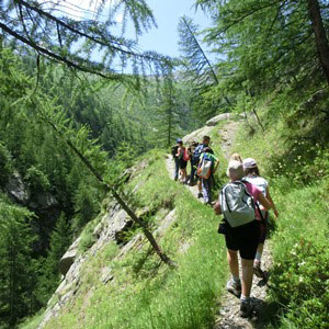 Settimane naturalistiche in rigugio per ragazzi