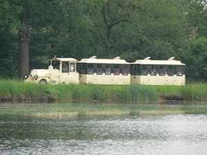 trenino della mandria 