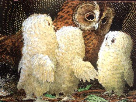 tre piccoli gufi mamma