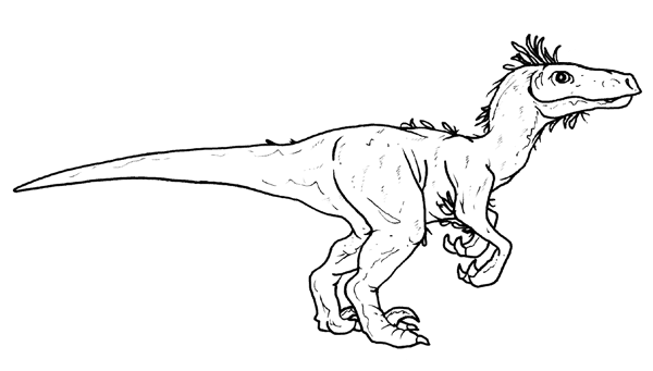Dinosauri Velociraptor Torinobimbi